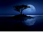 TheMoonTeam