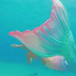 ও mermaids ও
