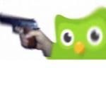 DUO LINGO