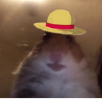 abcdefghijklmnopqrstuvwxyz (cobe join so bobux)