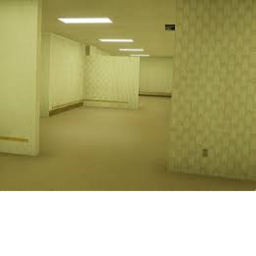 The Backrooms