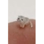 skooter
