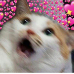 nodesiresx's Kittens