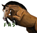 Freedoms Adventure Stable