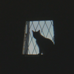 • Ｊａｙｄｅｎ’ｓ ｆｒｉｅｎｄｓ •