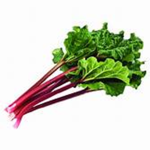 rhubarb army