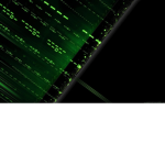 GamerM0372
