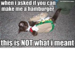 cat hate pickle