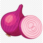 soğan