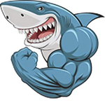Sharks (Football fusion team)