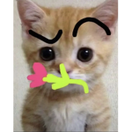 The saved victims