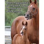 Horse Clan Wisps