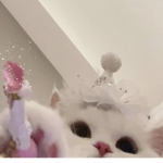 _adorable