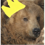 The bear dynasty