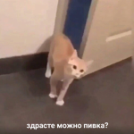 Допустим донат от Pidora