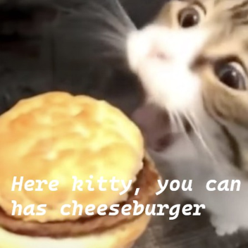 Here kitty you can has cheeseburger