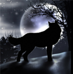 The Shadow Wolves (TSW)