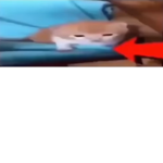 ɾobeɾt