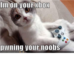 NOOB PWNERS>!