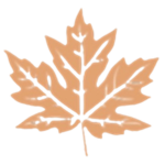 Maple Leaf Airlines | MLA