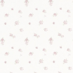 || lily and emma’s clothes store ||