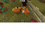 RobuxGroupOofff