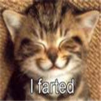 farting cat Roblox decal