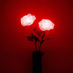 The Red Roses [Horror]