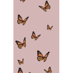 Butterfly Kay