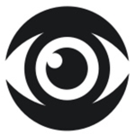 Secret Intelligence Organization