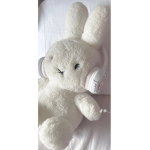 한국인이 들어야야함