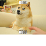 Do u Luv Doge?