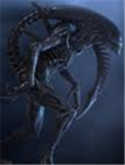 Alien Vs Predetor clan