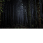 witchespells