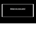 ヅ Adopt me new pets! ヅ