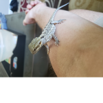 Premium lizards