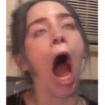 Jaws⋆