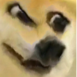 Fokus