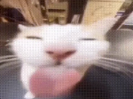 cool group for really cool people!!!!