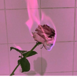 X_aesthetic_gorlz_X