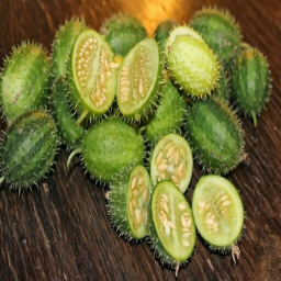 🥒ДИКИЙ ОГУРЕЦ🥒[ОББИ]