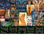 Warrior Cats Fireclan rp