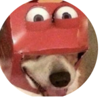 McDoggie Cult