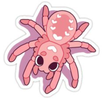 !SPIDER GROUP!