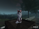 - {Moon Clan} -