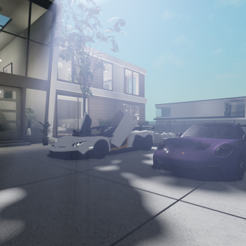 Own A Mansion and Supercars