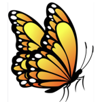 Thebutterfly group