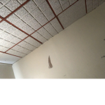 The shortybackfire studio