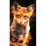 Fire foxes unite