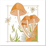 MY MUSHROOM GANG